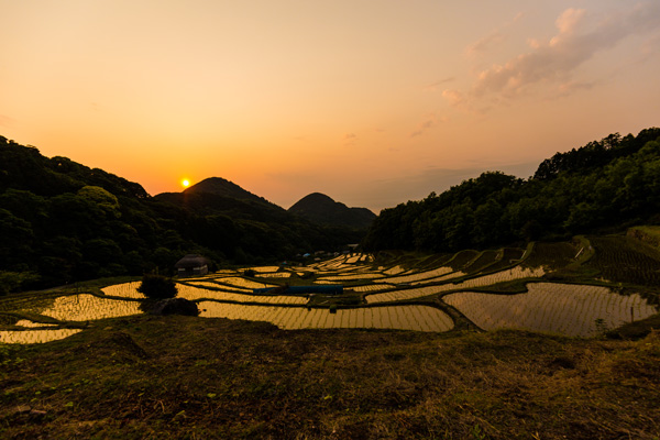 石部棚田